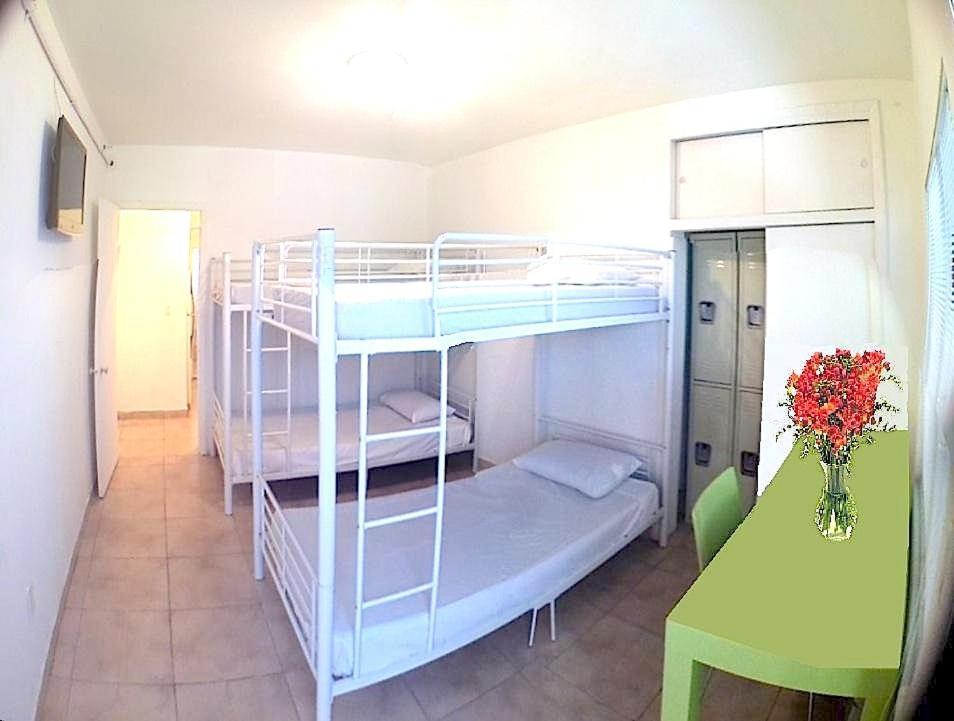 מיאמי ביץ' Bikini Hostel, Cafe & Beer Garden (Adults Only) מראה חיצוני תמונה